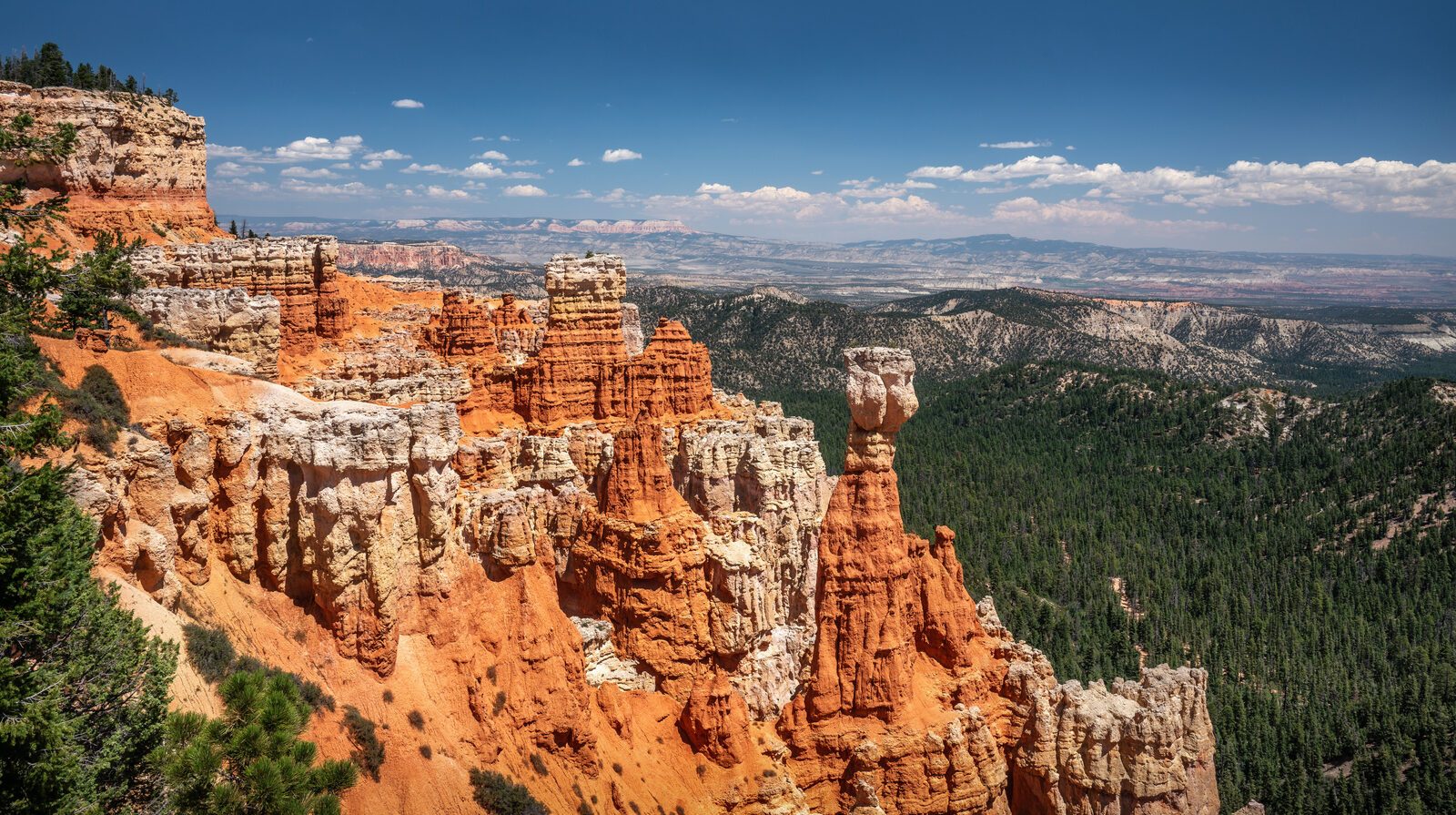 Bryce Canyon & Zion National Parks