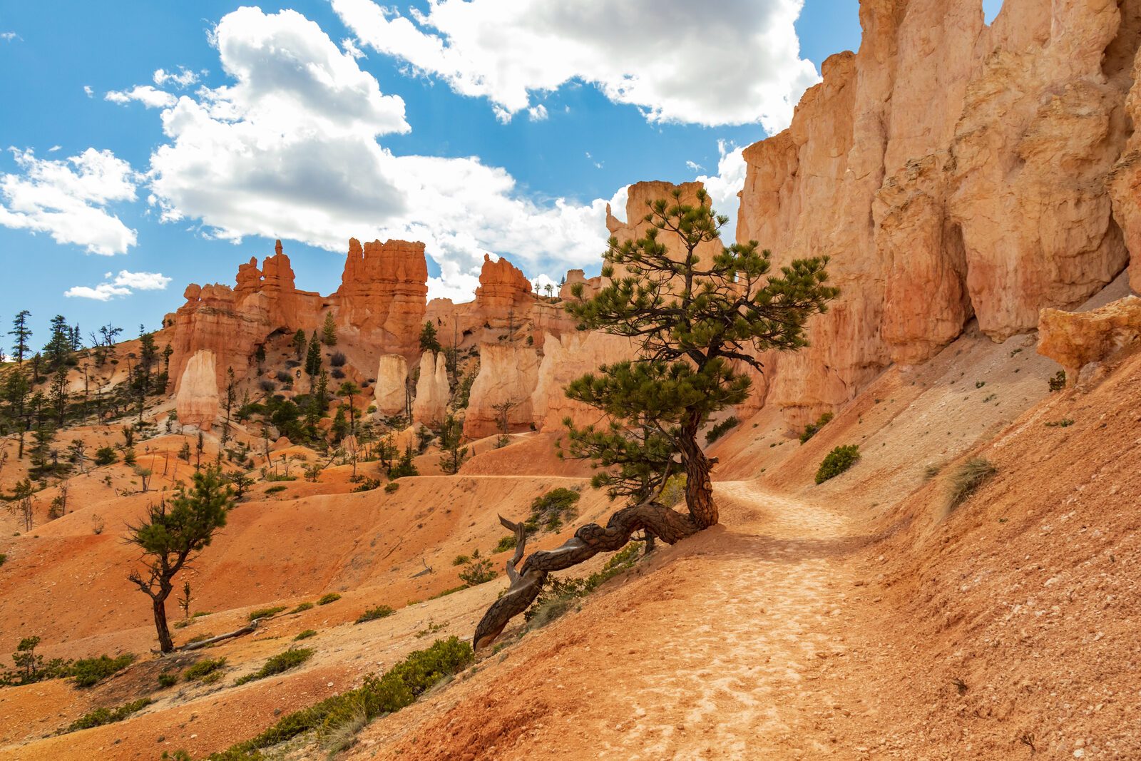 Bryce Canyon